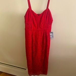 Express Dress - all over lace midi size 6